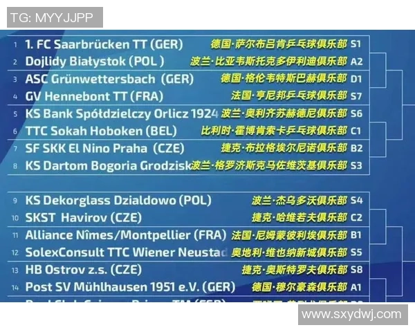 德国足球历史顶级球星排名解析与影响力评估