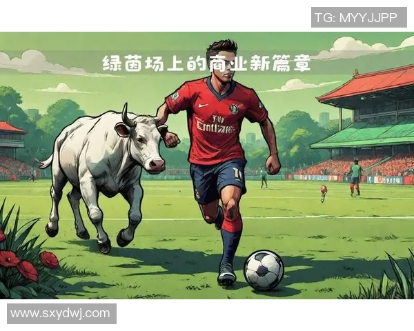 球星阵容演绎绿茵激情全面解析豪华球队战术与实力对比