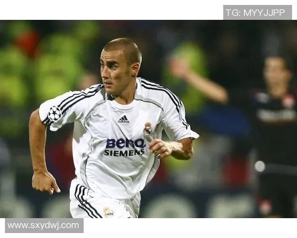 穿越绿茵岁月细数各国传奇足球巨星的辉煌与永恒魅力