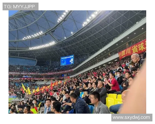 球迷激动见证偶像风采 足球场上明星与粉丝亲密互动瞬间回顾